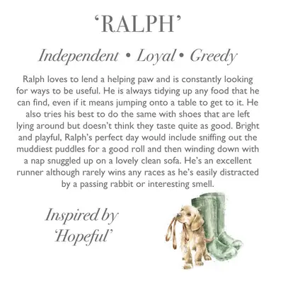 Wrendale Plush Ralph Labrador Junior - image 3