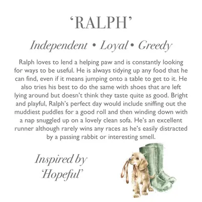 Wrendale Plush Ralph Labrador Regular - image 2