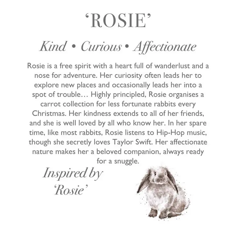 Wrendale Plush Rosie Rabbit Regular - image 3