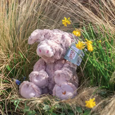 Wrendale Plush Vanessa Pig Large - image 2