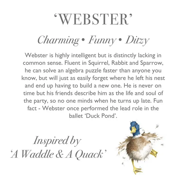 Wrendale Plush Webster Duck Large - image 3