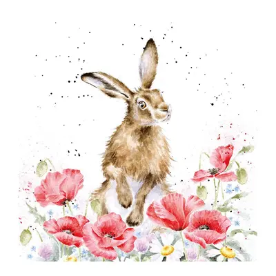 Wrendale Small Canvas Print Hare - Field of Flowers - image 1