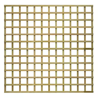 110mm Square Trellis 6ft x 6ft