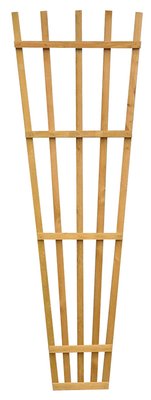 Fan Trellis  1.22m x 0.53m
