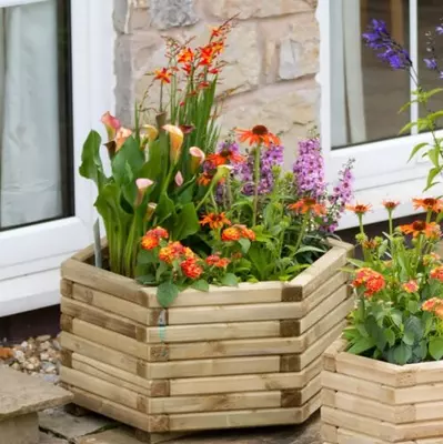 Zest Marford Hexagonal Planter Large