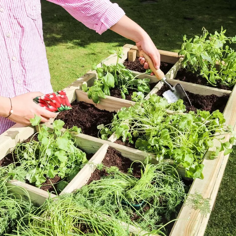 Zest Raised Herb Planter - image 3