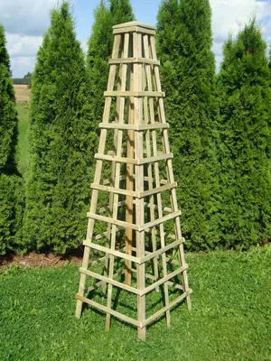 Zest Snowdon Obelisk - image 2