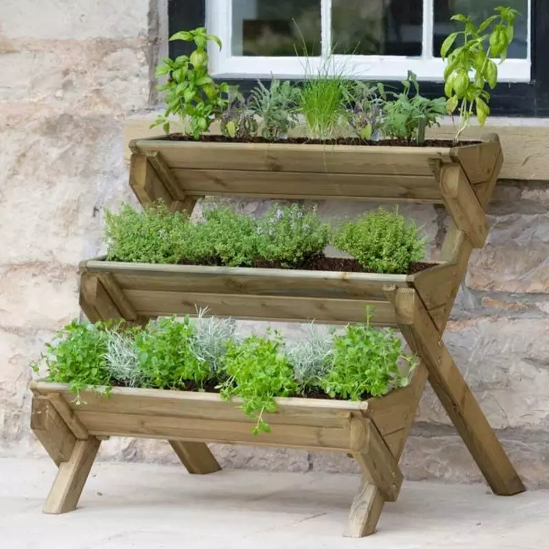 Zest Stepped Herb Planter - image 2